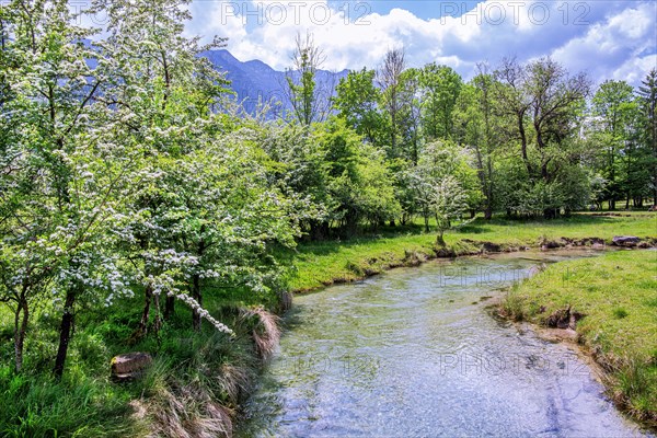 Spring Landscape with Muehlbach