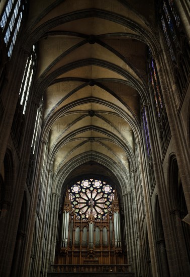 Interior view of nave