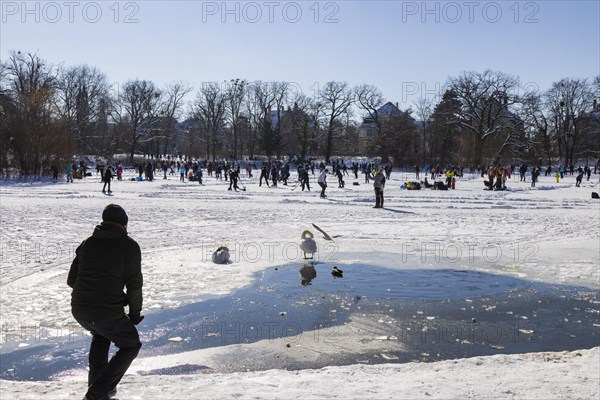 Large garden in winter