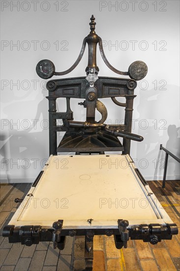 Mid 19th century Albion press