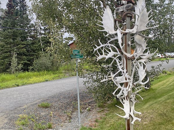 Antlers hanging from a pole by a road