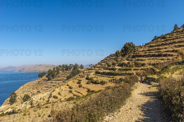 Tourists with guide on hiking trail