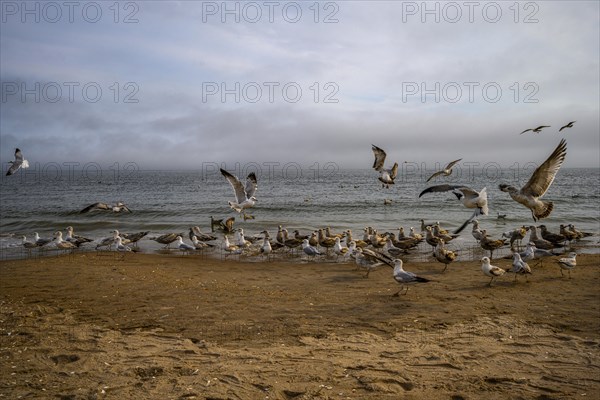 Cludy spring day on Brighton Beach