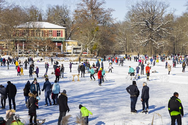 Large garden in winter