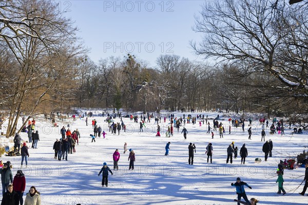 Large garden in winter