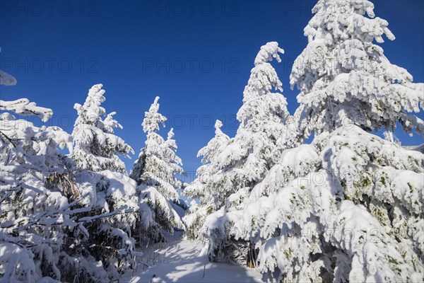 Winter on the Fichtelberg