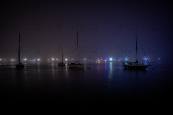 Foggy night in Sheepshead Bay