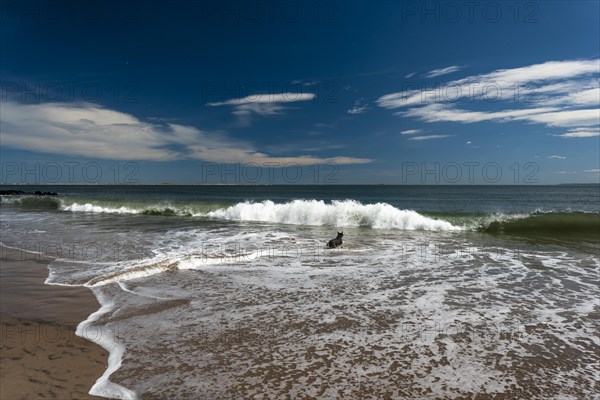 Listening to the ocean waves on a sunny spring day on the Brighton Beach