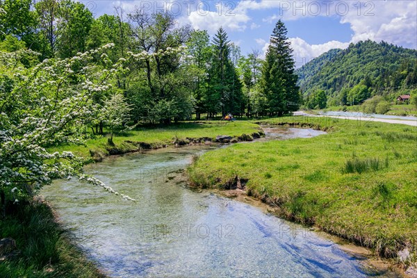 Spring Landscape with Muehlbach