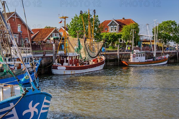 Historic cutter harbour with crab cutters