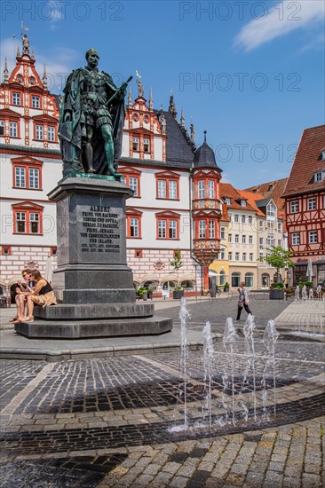 Market Square with Prince Albert Monument and Town House in the Old Town