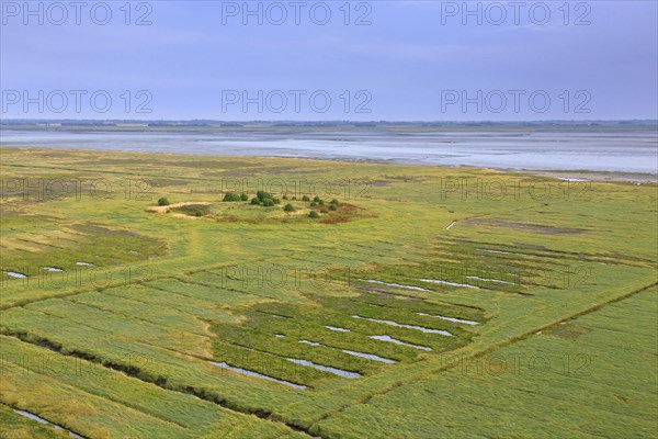 Aerial view over salt marsh