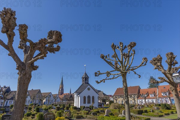 Cemetery for members of the fishermen's society