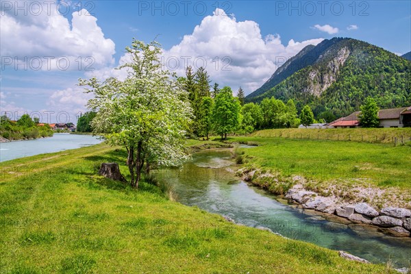 Spring Landscape with Muehlbach