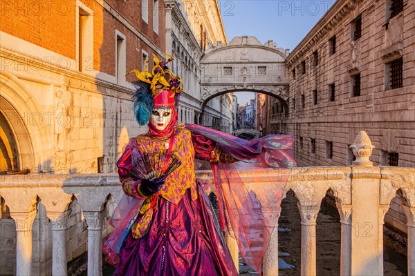 Carnival mask in front of the Bridge of Sighs at the time of Carnival