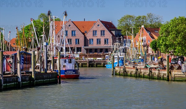 Historic cutter harbour with crab cutters