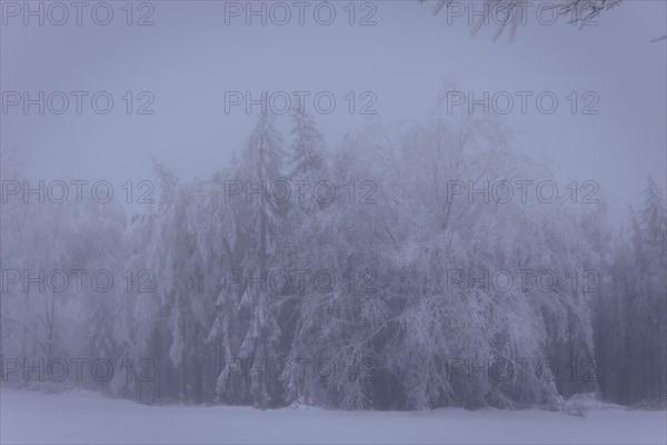 Winter in the Ore Mountains