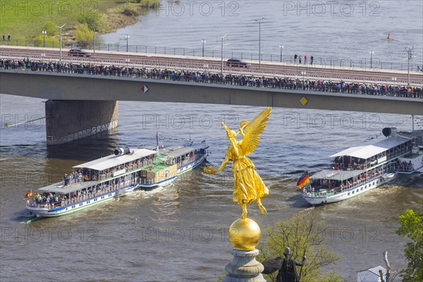 Fleet parade in Dresden Nine historic passenger steamers
