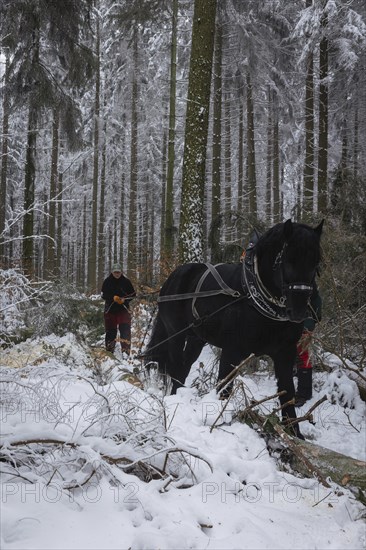 Winter in the Ore Mountains