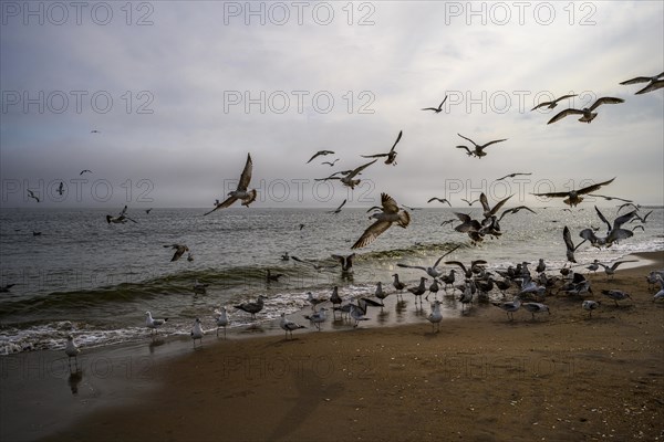 Cludy spring day on Brighton Beach