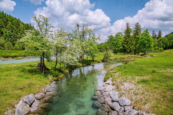 Spring Landscape with Muehlbach