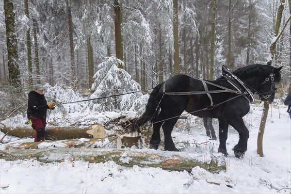 Winter in the Ore Mountains