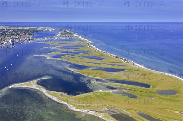 Aerial view over houses on the shore along the Baltic Sea coast at Steinwarder peninsula