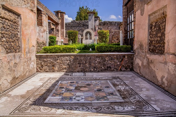 Floor mosaic in excavation area