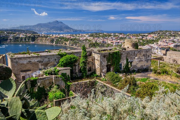 Island overview with view to the island of Ischia