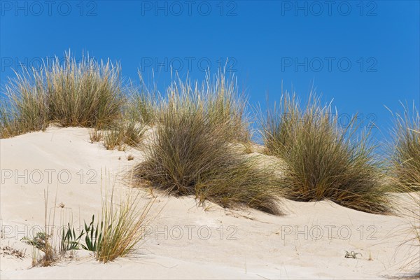 Dunes at Simos Beach