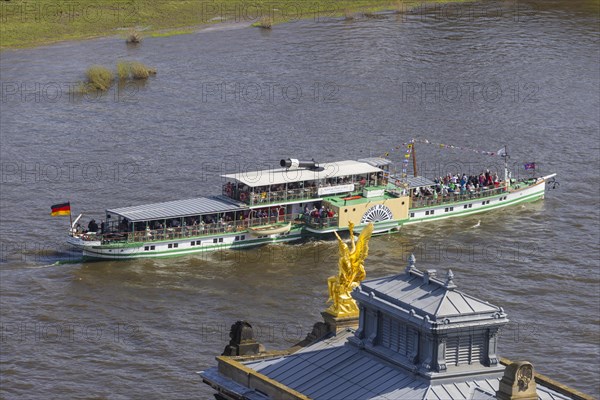 Fleet parade in Dresden Nine historic passenger steamers