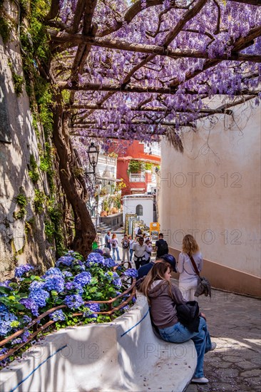 Shady alley in the centre