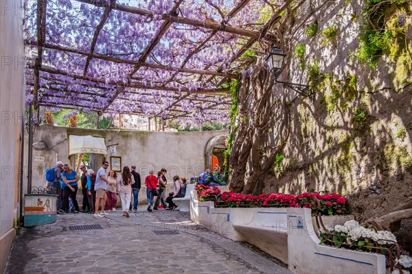 Shady alley in the centre