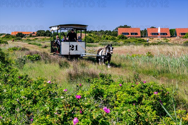 Historic horse-drawn tramway in the dunes