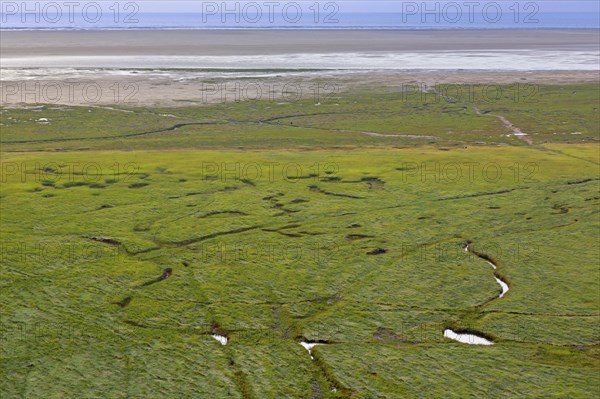 Aerial view over salt marsh