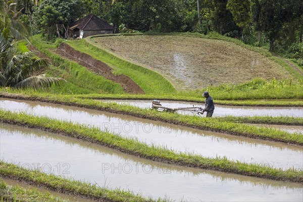 Labourer with mechanical plough