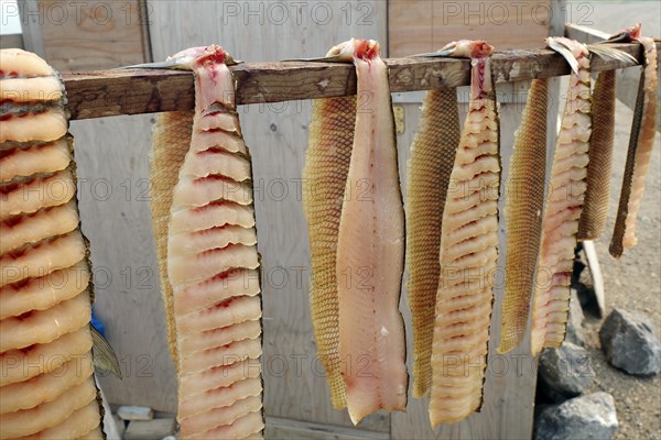 Traditional fish preservation method