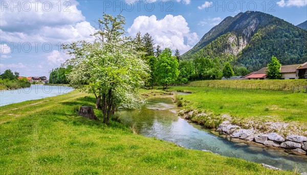 Spring Landscape with Muehlbach