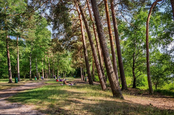 Hiking trail by the forest lake