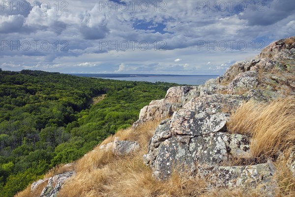 View over the coastline and beach at the Stenshuvud National park near Kivik