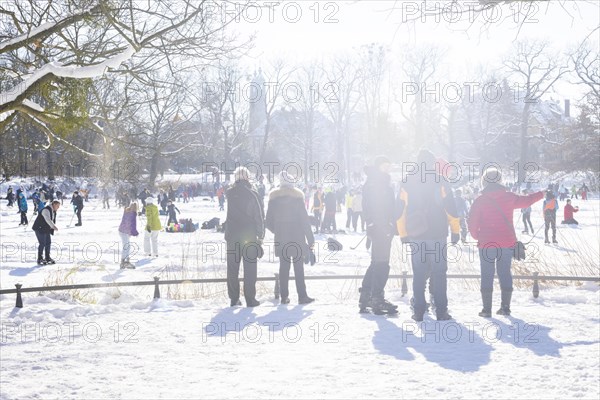 Large garden in winter