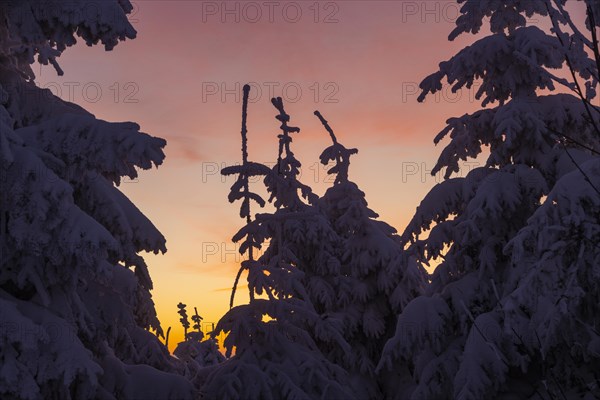 Winter on the Fichtelberg