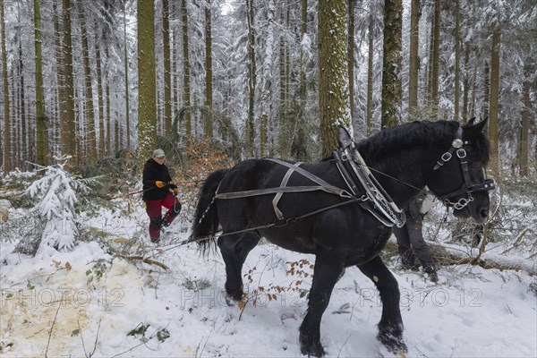 Winter in the Ore Mountains