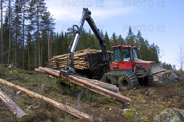 Logging industry showing timber