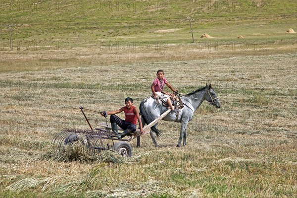 Two young Kyrgyz boys working with horse drawn hay rake in field