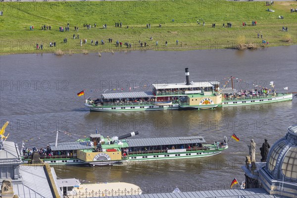 Fleet parade in Dresden Nine historic passenger steamers