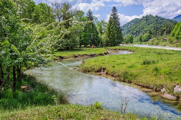 Spring Landscape with Muehlbach