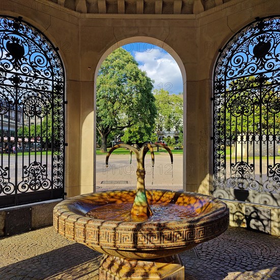 In the pavilion of the historic Kochbrunnen