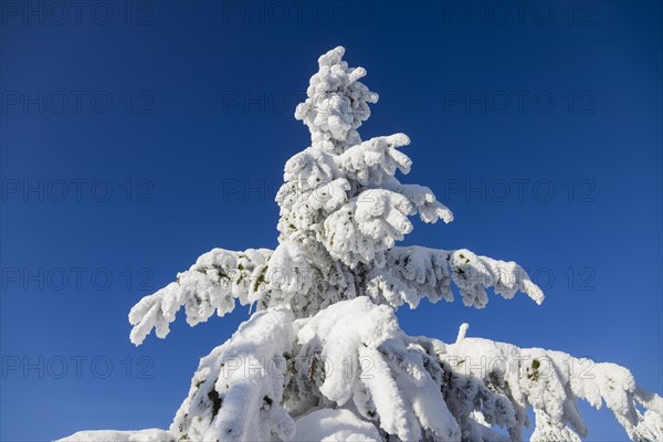 Winter on the Fichtelberg