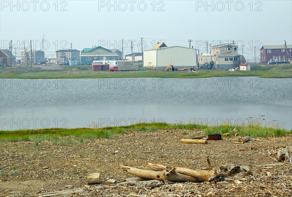 Beach littered with driftwood and simple houses